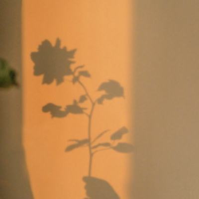 乐鱼app下载下载手机版截图